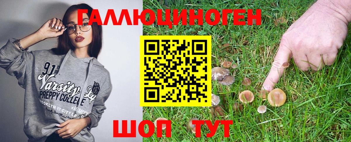 Галлюциногенные грибы MAGIC MUSHROOMS Ялуторовск